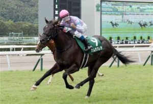 【競馬予想】第56回報知杯フィリーズレビュー(GⅡ) /2022