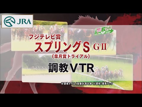 【調教動画】2022年 スプリングステークス｜JRA公式