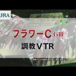 【調教動画】2022年 フラワーカップ|JRA公式