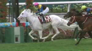 ●ソダシ、芝へ復帰