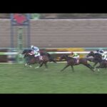 ビーアストニッシド逃げ切りで重賞初制覇【スプリングステークス2022】