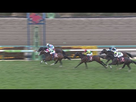 ビーアストニッシド逃げ切りで重賞初制覇【スプリングステークス2022】