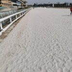 名古屋競馬のクロージングイベントきたで~
