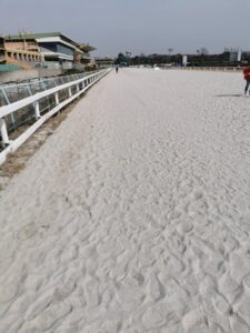 名古屋競馬のクロージングイベントきたで～