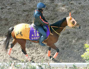レイパパレ大阪杯出走へ！鞍上は引き続き川田