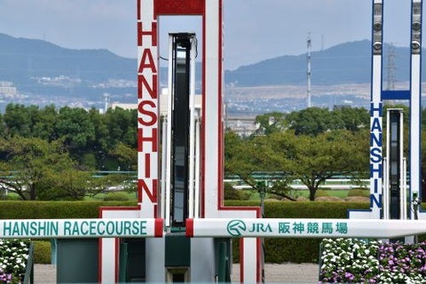 土曜阪神メイン、コーラルステークス出走可能馬16頭に対して登録58頭