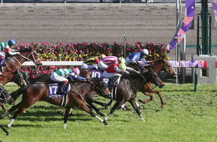 ナランフレグ村木克成オーナー馬主1年目、所有馬は2頭で馬主3勝目がG1制覇