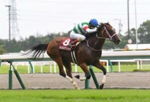 【競馬予想】[3]第52回高松宮記念(GⅠ) /2022