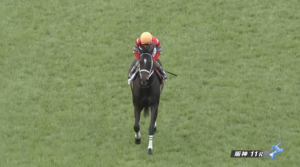 ディープボンド最強すぎワロタｗｗｗ