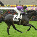 【競馬予想】[1]第71回スプリングステークス(GⅡ) /2022