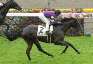 【競馬予想】[1]第71回スプリングステークス(GⅡ) /2022