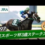1997年 東京スポーツ杯3歳ステークス(GⅢ) | キングヘイロー | JRA公式