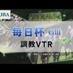 【調教動画】2022年 毎日杯|JRA公式