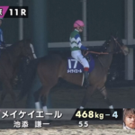 ●メイケイエールの次走