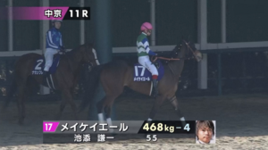 ●メイケイエールの次走