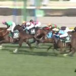 【競馬】中山牝馬Sは松岡騎乗の15番人気クリノプレミアムがV