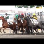 アタック!地方競馬|第156回|“能検”とは|NAR公式