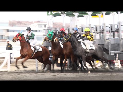 アタック！地方競馬｜第156回｜“能検”とは｜NAR公式