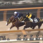 【金鯱賞2022】追い切り/抜群の動きを見せたのは