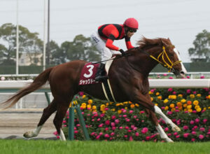 5連勝ジャックドールの強さに腑に落ちないヤツ