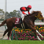 【金鯱賞】1番人気ジャックドール逃げ切りレコード1秒1更新V!5連勝で重賞初制覇