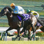 落馬負傷、松山…デアリングタクト、テーオーケインズの鞍上は誰がいいか?