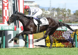 【フィリーズR】マイシンフォニー武豊さんwwwwwwwww