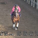 【高松宮記念2022】追い切り/抜群の動きを見せたのは