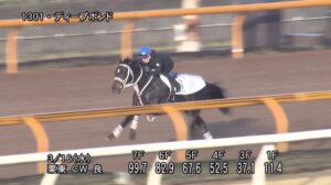 【阪神大賞典2022】追い切り/抜群の動きを見せたのは
