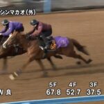 【ファルコンステークス2022】追い切り/追い切りが結果につながる