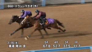 【ファルコンステークス2022】追い切り/追い切りが結果につながる