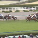 【毎日杯2022】結果・動画/ピースオブエイトが3連勝で重賞V