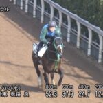 【ダービー卿チャレンジトロフィー2022】追い切り/動きを見極め勝利に近づけ
