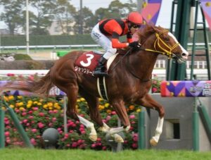 ジャックドールを上手く乗れるのって武豊しかいなくね？