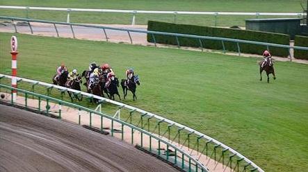 阪神大賞典で一番印象に残ってるレース