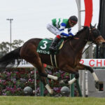 【競馬予想】[2]第52回高松宮記念(GⅠ) /2022