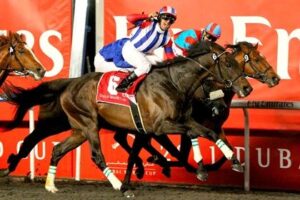 ミルコ・デムーロで好きなレース