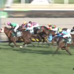 【中山牝馬ステークス2022】結果・動画/クリノプレミアムが制し波乱を演出
