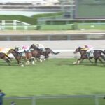 【ダービー卿チャレンジトロフィー2022】出走予定馬・騎手/竜闘虎争