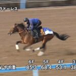【毎日杯2022】追い切り/追い切りが結果につながる