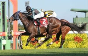 【競馬予想】[1]第70回日経賞(GII) /2022