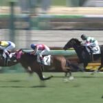 【競馬】中山5R3歳未勝利戦 新馬戦で油断騎乗で負けたエフフォーリアの半弟ヴァンガーズハートが単勝1.1倍も3着