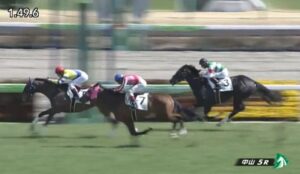 【競馬】中山5Ｒ3歳未勝利戦　新馬戦で油断騎乗で負けたエフフォーリアの半弟ヴァンガーズハートが単勝1.1倍も3着