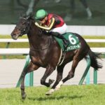 【ドバイシーマC】シャフリヤールが1番人気 上位人気5頭中4頭が日本馬www