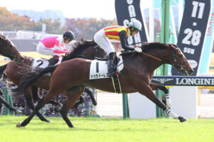 【競馬予想】第69回毎日杯(GⅢ) /2022