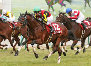 【競馬予想】[1]第52回高松宮記念(GⅠ) /2022