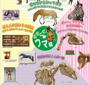 まるごとウマ展―ウマと人のキズナ―