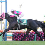 【競馬予想】第40回中山牝馬ステークス(GⅢ) /2022