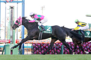 【競馬予想】第40回中山牝馬ステークス(GⅢ) /2022