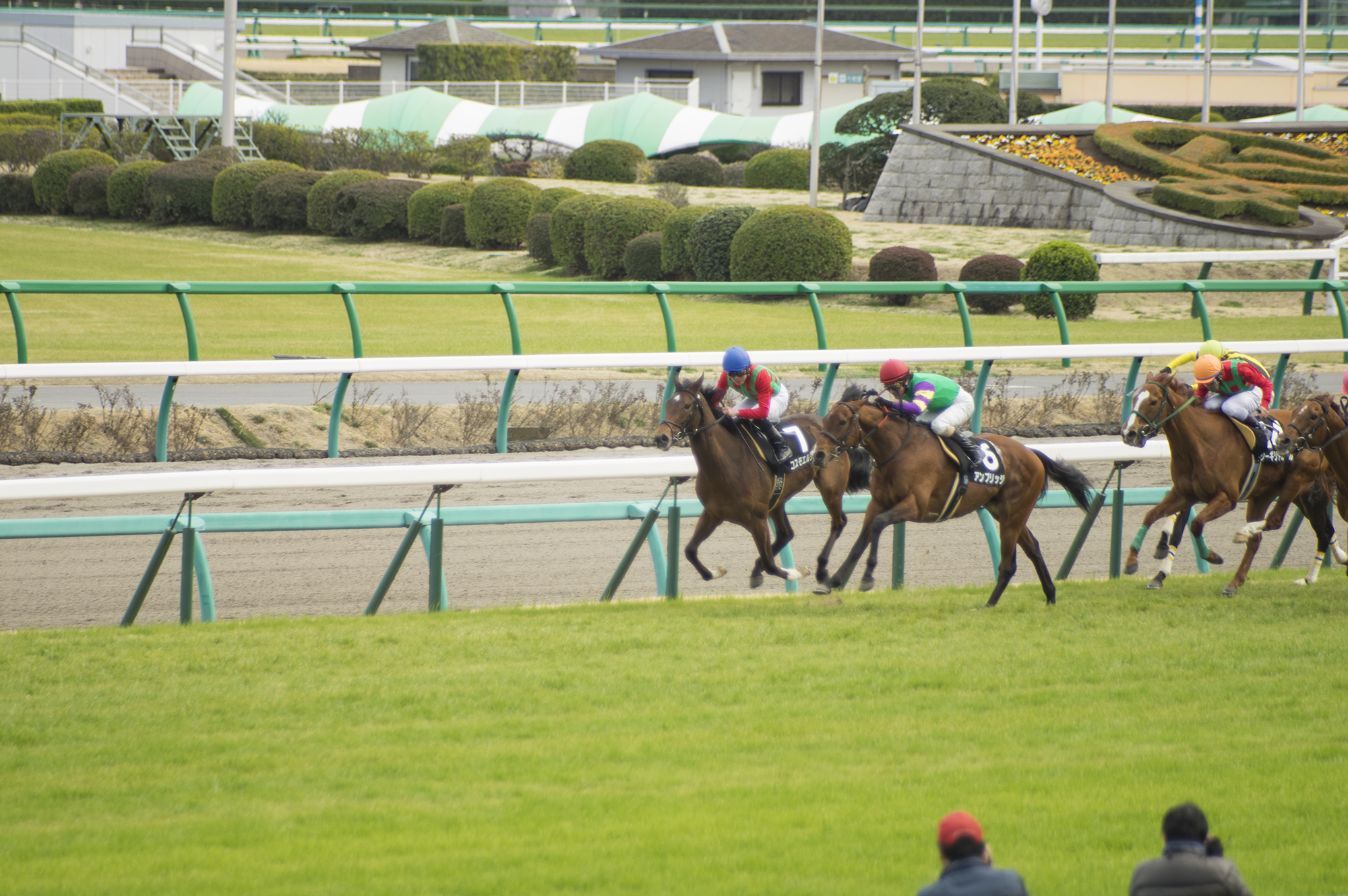 池添キモすぎワロタｗ